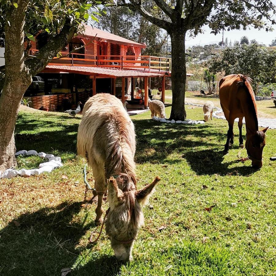 La Granja De Papa Alberto Puembo Eksteriør billede